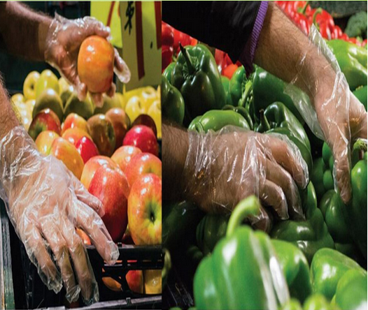 Multicolor Safe Hdpe Gloves For Food Processing